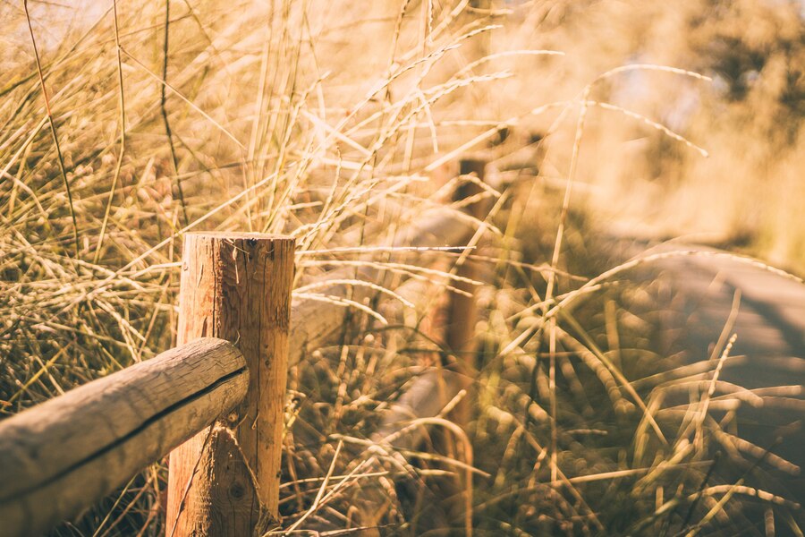 wood leaves background