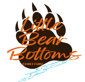 Logo little bear bottoms