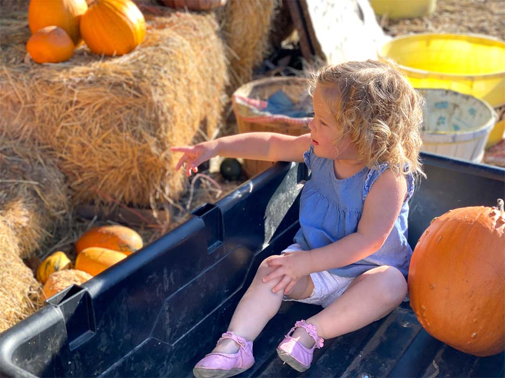girl at little bear bottoms pumpkin patch
