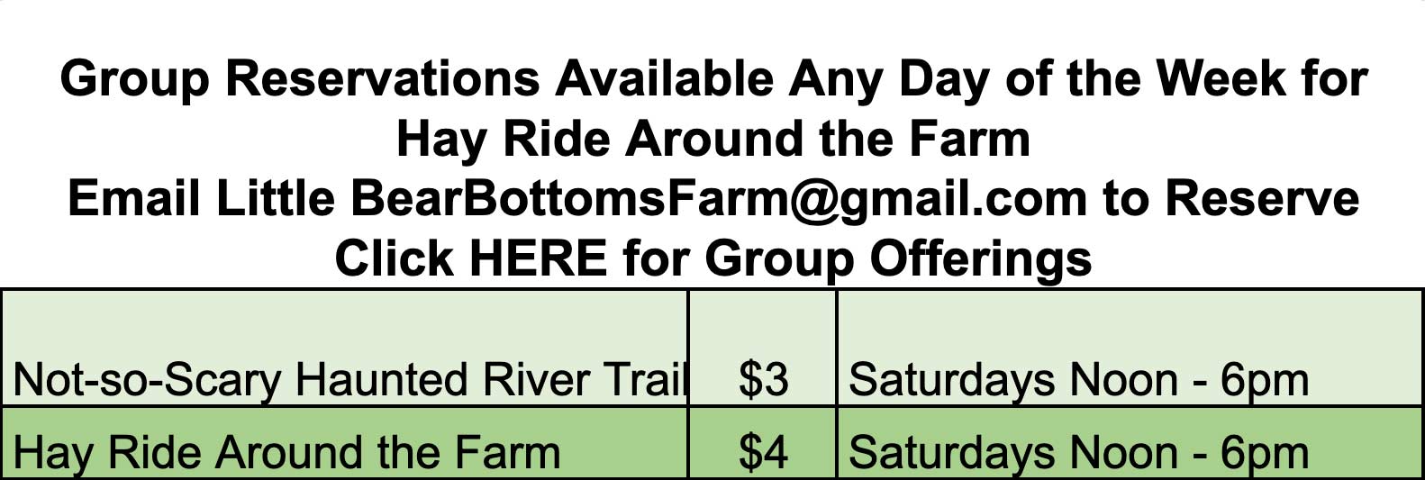 Pricing Little Bear Bottoms