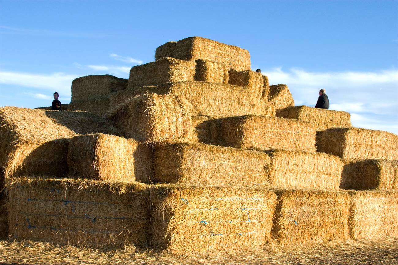 Straw Pyramid at Little Bear Bottoms