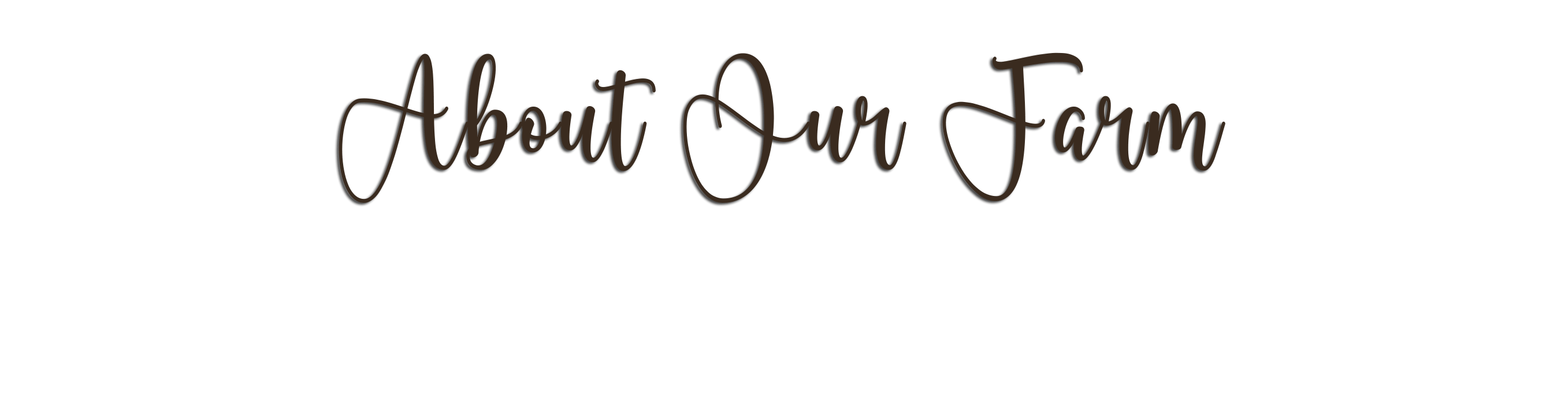 welcome to little bear bottoms corn maze