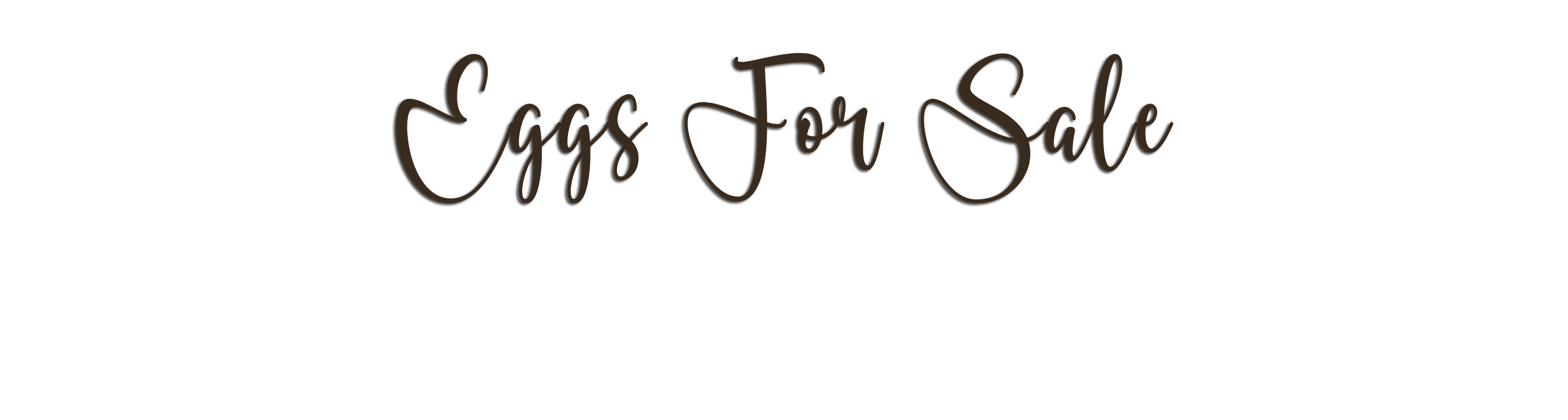 little bear bottoms eggs for sale