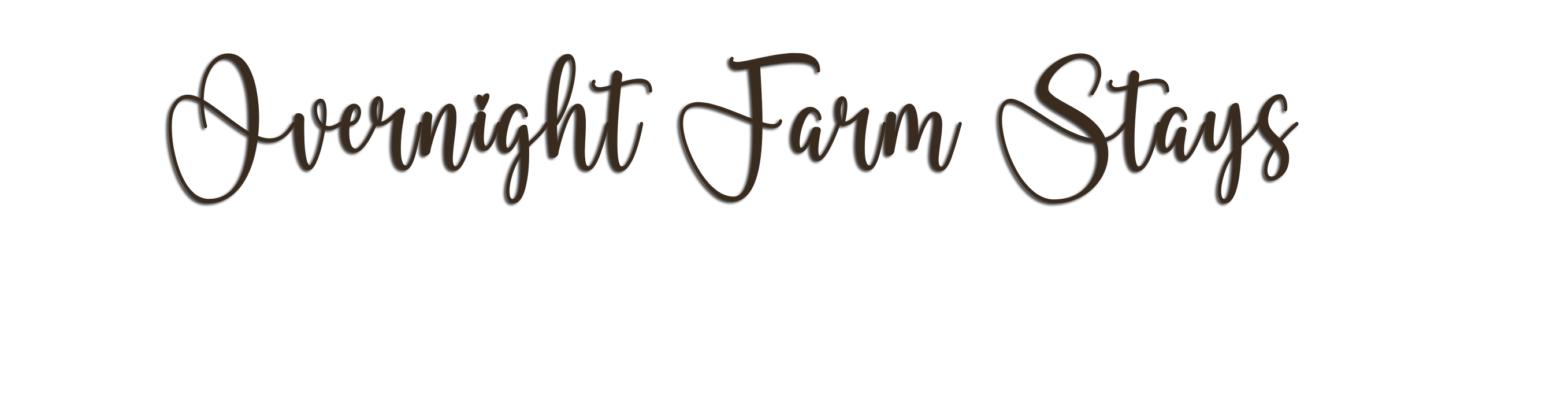 welcome to little bear bottoms corn maze