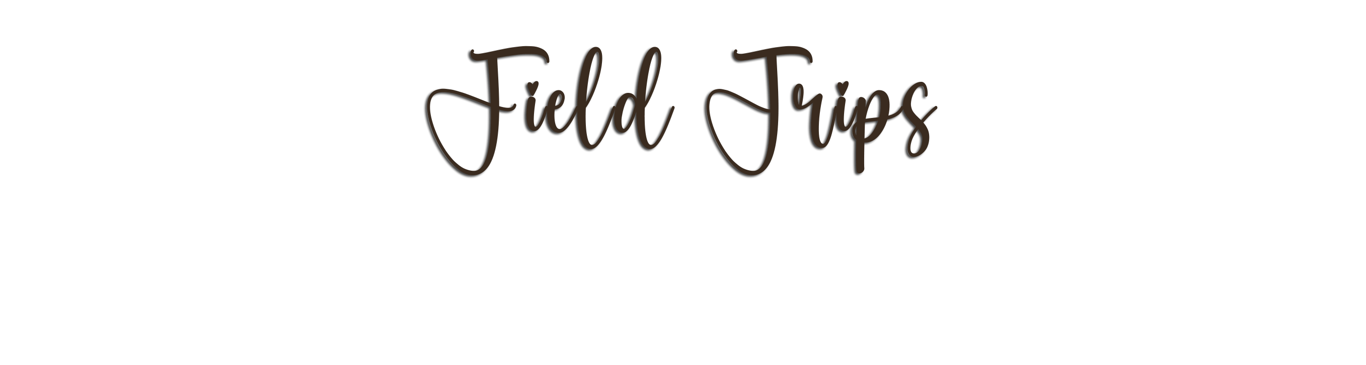 welcome to little bear bottoms corn maze